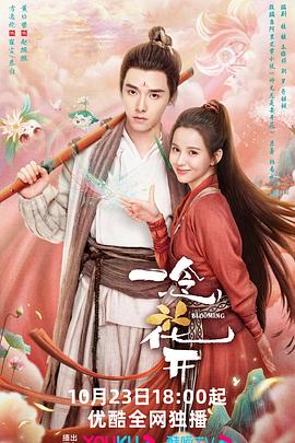 优化语言的网站排名